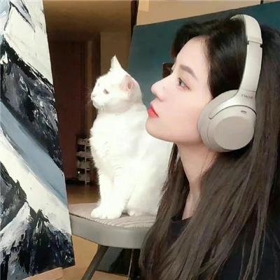 断续姻缘